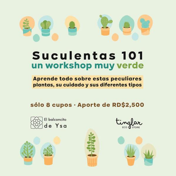 Taller Suculentas 101 by El Balconcito de Ysa