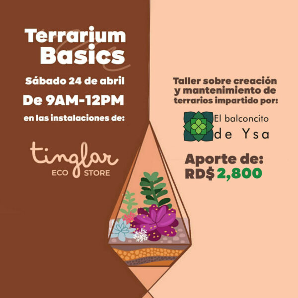 Taller de Cactus-Terrarios 101 by El Balconcito de Ysa